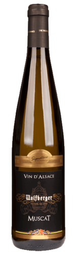 Wolfberger, Muscat Signature 2018