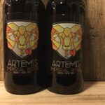 NIEUW BINNEN: Artemis Bok