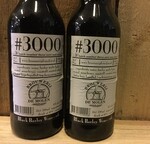 #3000, De Molen