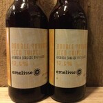 NIEUW BINNEN: Double Troubled, Emelisse