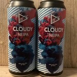 NIEUW BINNEN: Cloudy, Funky Fluid