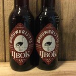 IJbok, Het IJ