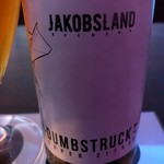 Dumbstruck, Jacobsland
