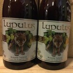 Lupulus Blond, Brasserie Lupulus