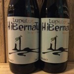 NIEUW BINNEN: Hibernatus, Lupulus