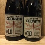 Odonata #10, Dádiva