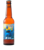 Hollyrood, Stewart Brewing