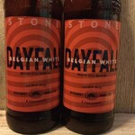 NIEUW BINNEN: Dayfall, Stone