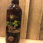 Tripel Kannunik, Wilderen