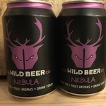 Nebula, The Wild Beer Co.