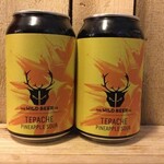 NIEUW BINNEN: Tepache, Wild Beer