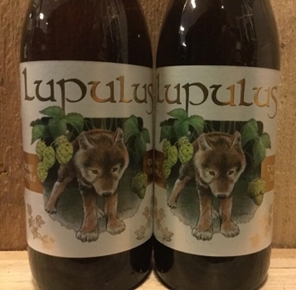 Lupulus Blonde, Brasserie Lupulus